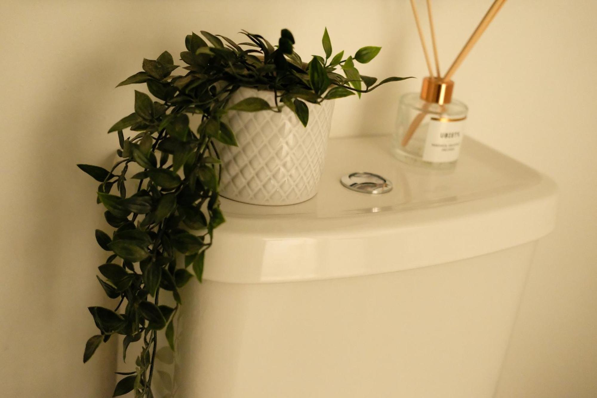 Spacious City Centre Apartment Bath Luaran gambar